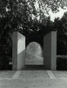 Weeping Bball Memorial.JPG